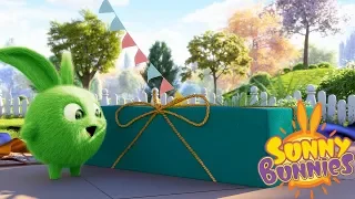 Cartoons for Children | SUNNY BUNNIES - CHRISTMAS PRESENTS | Funny Cartoons For Children