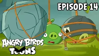 Angry Birds Toons | Dopeys On A Rope - S1 Ep14