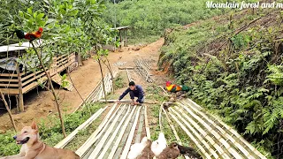 Utilizing natural materials to build fences for farm development. mountain and forest life (EP183)