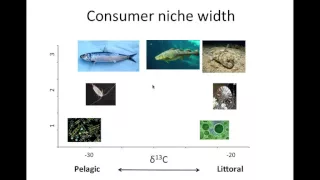 Stable Isotopes and the Food Web