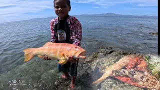 Na Aktuhang Naglabasan na Ang mga Grouper sa Spot nato!