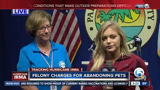 More pets abandoned overnight in Palm Beach County