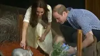 Prince William and Kate Middleton -  Long Live