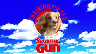 Gundog Training - "Training With Ted"  - The Place-board