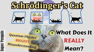 Quantum Physics' Biggest Misunderstanding: What Does Schrödinger's Cat REALLY Mean?