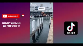 Extreme sports | Best of TikTok compilation