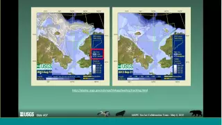 How Biologists Use Data to Understand the Ecology of Polar Bears & Walruses -- David Douglas, USGS