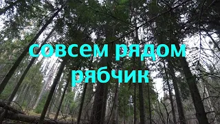 Охота на рябчика с подхода, интересные моменты с охот. Кировская обл