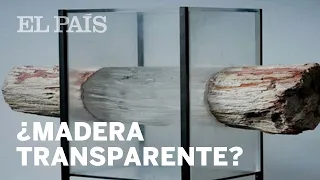 Así se consigue la MADERA TRANSPARENTE