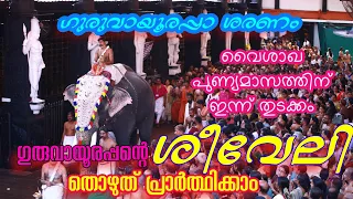 ഗുരുവായൂർ ക്ഷേത്രത്തിലെ ശീവേലിയും പ്രഭാത കാഴ്ച്ചകളും | 09/05/2024 | Guruvayur Temple Morning Shiveli