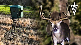 Setting The Trap For A Hopeful 200" Iowa Giant, Owen's First Stand On The New 80 | Midwest Whitetail