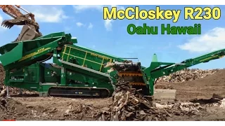 McCLOSKEY R230