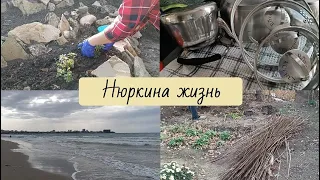 Нашли железо на участке // Посадили малину // Доделала горку // Домашние дела и отдых в Анапе