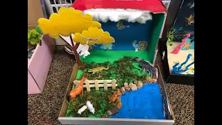 2nd Grade Science Diorama Project -  Habitat of Animals