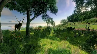 Gothic 3 - Vista Point ( Remake )