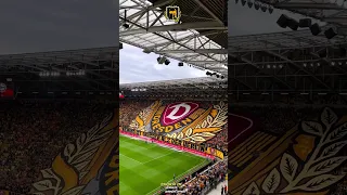 DYNAMO DRESDEN ULTRAS CHOREO VS ARMINIA BIELEFELD 5/8/2023🟡⚫️🇩🇪 #arminiabielefeld #dynamodresden