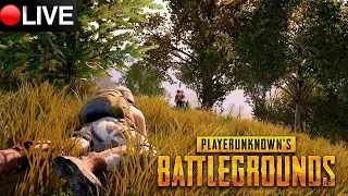 A VOLTA DO SQUAD TRAPALHÃO!! --- PLAYERUNKNOWN'S BATTLEGROUNDS