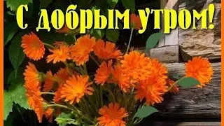 Доброе утро... Суббота...Отличных выходных💗💗💗