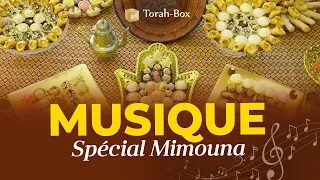 MUSIQUE SPECIAL MIMOUNA / מימונה מוזיקה