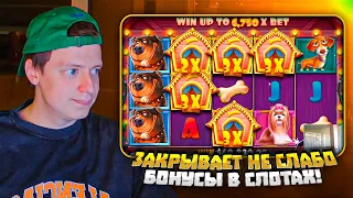 Dog House, Cleocatra, Sweet Bonanza, Zevs vs Hades, Gates of Olympus - заносы Мелстроя!