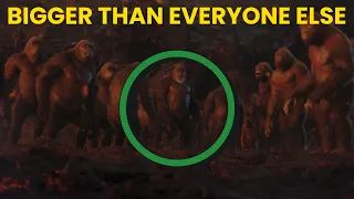 WHY IS KING KONG LARGER THAN ALL THE OTHER KONGS?