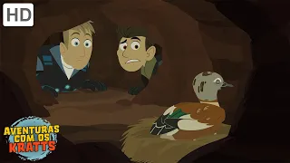 Aventuras com os Kratts - A Cidade dos Aardvarks (Episódio Completo - HD)