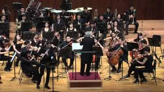 J. Sibelius: Violin Concerto in D minor, op. 47. III. Allegro, ma non tanto (arr. by D. Bouriakov)