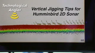 Vertical Jigging Tips for Humminbird 2D Sonar | The Technological Angler