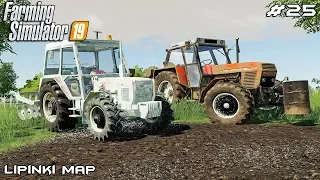 Field work | Small Farm | Farming Simulator 2019 | Episode 25