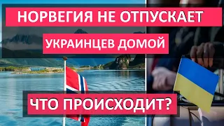 Почему Норвегия НЕ ОТПУСКАЕТ украинцев ДОМОЙ. Сколько платят укранцам и как получить работу в стране