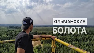 Ольманские болота. Беларусь. Полесье.