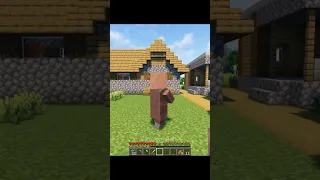 POV: You Have Become Hero of The Villagers #minecraft #villager #grox