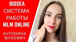 Biosea Биоси  Система работы МЛМ онлайн