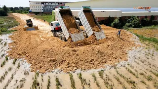 Next Level showing Processing skiller operator bulldozer pushing Stone Land Filli/huge dump truck