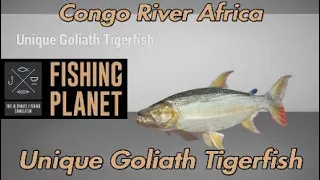 Fishing Planet - Unique Goliath Tigerfish Congo River Africa