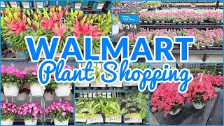 WALMART PLANT SHOPPING ANNUALS PERENNIALS HERBS VEGETABLES SHOP WITH ME