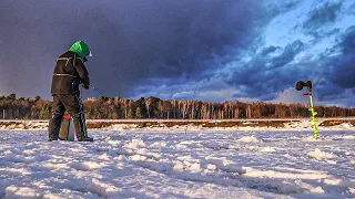 РАЗДАЧА НА ОКЕ. ЭТОТ ВИБ ТВОРИТ ЧУДЕСА. СУПЕР РЫБАЛКА.