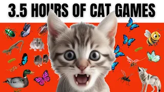 Cat Games Compilation - Vol.8 | [3.5 HOURS] | 🦋🦃🐝 🐜🐁🐺🦆🐥