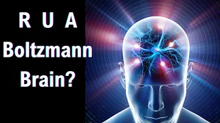 Is the Boltzmann Brain Paradox Real?