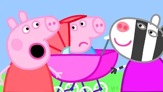 Peppa Meets the Baby Piggy 🐷👶 Peppa Pig Official Channel Family Kids Cartoons