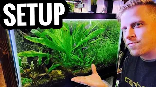 How to Set Up a Planted Aquarium - Live Plants for Beginners