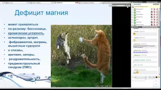 Magniy Helat ot NSP Vitaminy dlya mozgov YouTube