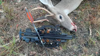 Deer Down... Treestand Hunting with the Reverse Draw Mini Striker Crossbow Pistol