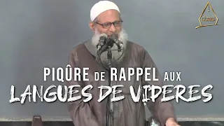 Piqûre de rappel aux langues de vipères ! | Chaykh Raslan