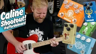 Caline Unboxing and Shootout - OD+Preamp / TS+Boost / TS / KLONE / Reverb / Reverb - #affordaboard