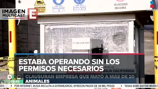 Clausuran empresa que destruyó albergue de animales en Ensenada