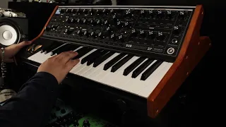 tame impala -  new person, same old mistakes (synth bass cover) [moog sub37]