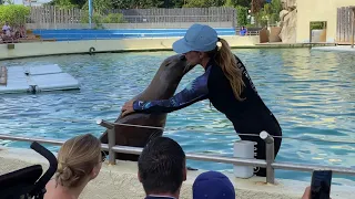 Spectacle Des Otaries Marineland 2020