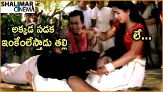 Brahmanandam & Jr. NTR Ultimate Comedy Scene || Jabardasth Comedy Scenes || Shalimarcinema