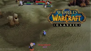 Don't Watch This If You Main A Shaman | WoW Classic PvP